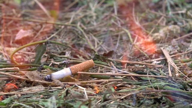 The thrown cigarette set fire to the grass. A man threw a cigarette on the dry grass. Fire hazard. 4k