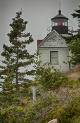 Decaying Bass Light House