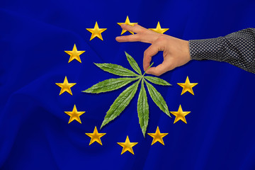 green leaf of cannabis in a man’s hand against the background of a colored state flag, the...