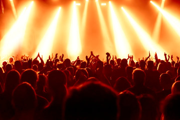 Obraz na płótnie Canvas crowd of people at concert