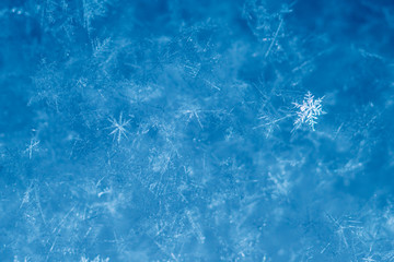 New Year and Christmas abstract icy snowy background with real snowflakes macro in cold blue tones. Cold winter background