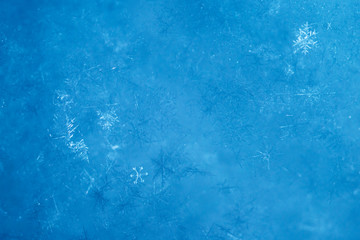 New Year and Christmas abstract icy snowy background with real snowflakes macro in cold blue tones. Cold winter background