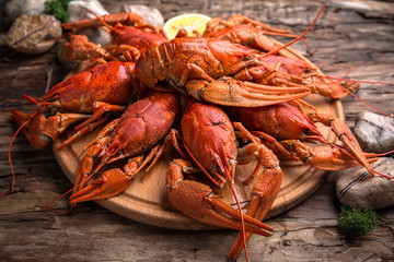 Boiled crayfish. Beer snack for a big company