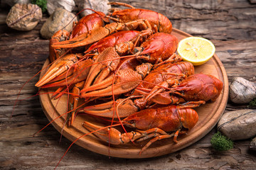 Boiled crayfish. Beer snack for a big company