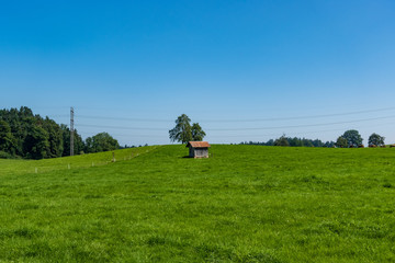 old house in the nature