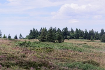 Landscape in the Higher Vosges Mountains in France.