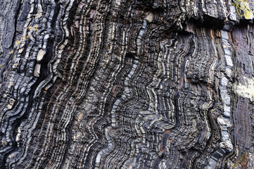 Foliated black rock background