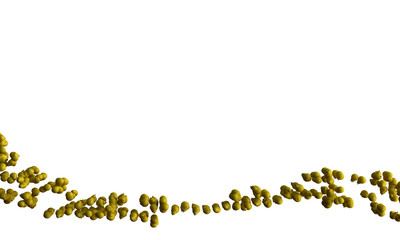 following pear white backround