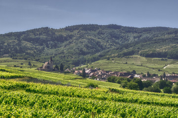 panorama alzackich pól z winoroślami, panorama z miasteczkiem Riquewihr, zielona Alzacja - obrazy, fototapety, plakaty