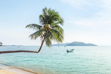 Coconut palm tree lean sloping over the tropical beach 