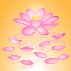 Fototapeta na wymiar Vector lotus flowers isolated on gold background illustration, yoga, health care