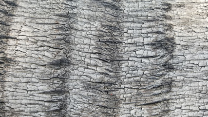 texture of old wood
