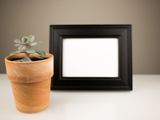 Mock up blank black frame and succulent plant in a pot on a white book shelf or desk.