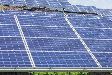 Close up rows array of Solar panels or solar cells or photovoltaics in solar power station is power...