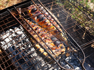 grilled mackerels on the grill on campfire 