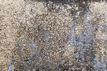 Concrete cement wall texture background for interior exterior decoration and industrial construction concept design.