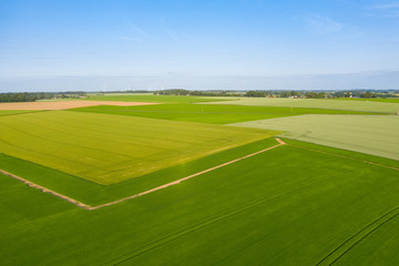 Vue globale de champ d'orge, de lin et de blé