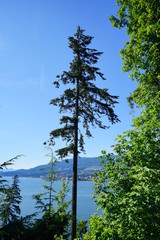 Beautiful Vancouver bay beach and mountain seen from Stanley park	