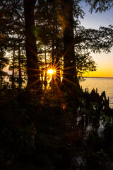 This is a very beautiful summer sunset at Reelfoot Lake in Tennessee.