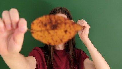 Portrait of young girl with long hair wearing red t-shirt, having fun playing with yellow autumn leaves and looking at camera, against green background. People and lifestyle.