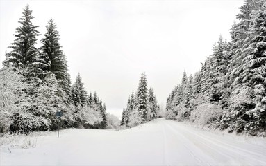 road through the snow-covered forest