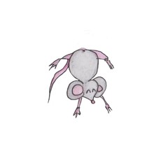 2020 Mouse Happy New Year template badge, insignia. Mouse, Rat horoscope sign. Chinese year of Rat 2020. Hand drawn illustration