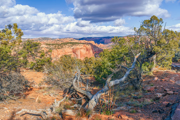 View from mesa top trail in Navajo National Monument area.Arizona.USA