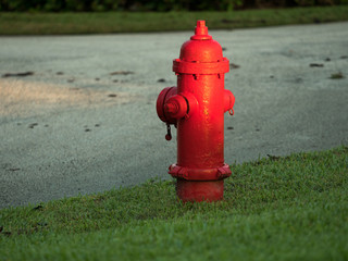 Fototapeta na wymiar A red fire hydrant on cut grass next to a paved street.