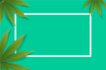 Cannabis leaves or marijauna medical poster design.