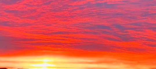 Fototapeta premium Raw Beauty