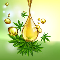 Marijuana plant and cannabis oil drop vector.