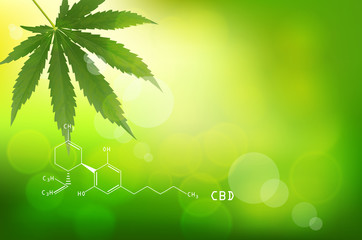 green background. Cannabis marijuana in medical.