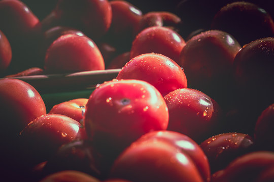 Fresh tomato close up at wellington sunday market; tomato background