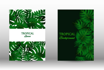 A set of tropic