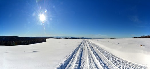 a road through the snow on the field