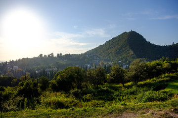 A city among greenery under the mountain.