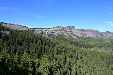 Tam McArthur Rim and surrounding woods in Three Sisters Wilderness near Sisters, Oregon.