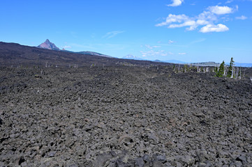 Lava fields in Willamette National Forest seen from Dee Wright Observatory near Sisters, Oregon.