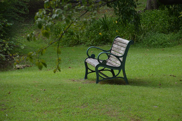 庭園の芝生の上にベンチがある風景