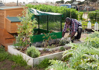 Man working near henhouse
