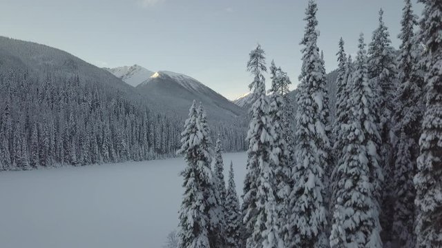 [D-LOG] 4K Frozen Lake Aerial Shot