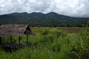 View to the mountains, Huay Tung Tao, Chiang Mai, Thailand