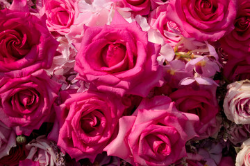 An arrangement of different pink roses.