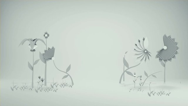 uncolored flower animation (floral) rising on white background (studio backdrop)