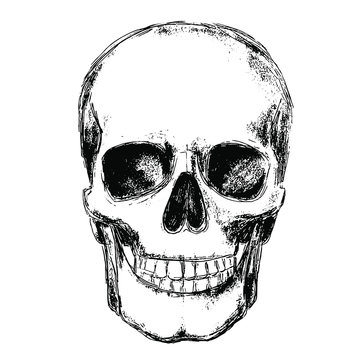 Hand drawn skull, vintage monochrome textured illustration isolated on white background. Vector design.