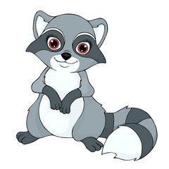 Vector cute smiling raccoon on white background.