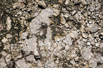 The texture of the earth