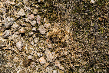 The texture of the earth