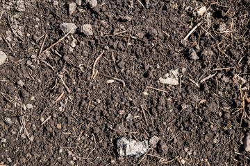 The texture of the earth