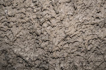 Texture of old rough plaster